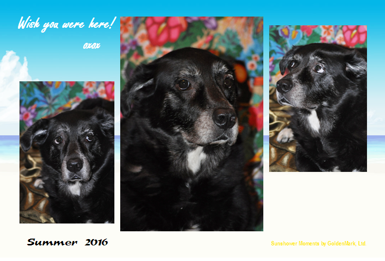 Design 3: Sunny Skies Wish You Were Here