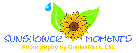 Sunshower Moments Photography by GML