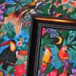 Tropical Birds Photo Background